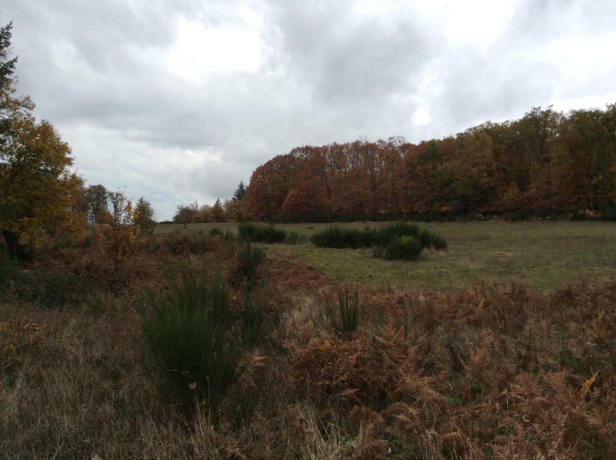 Appartement Vert, Compreignac Luaran gambar